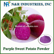 Chinese Purple Sweet Potato Powder 80mesh 200mesh